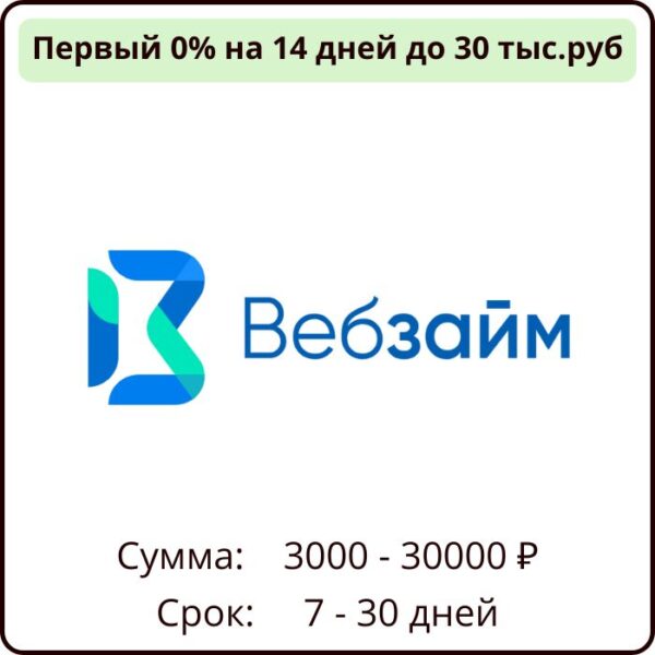 вебзайм челябинск